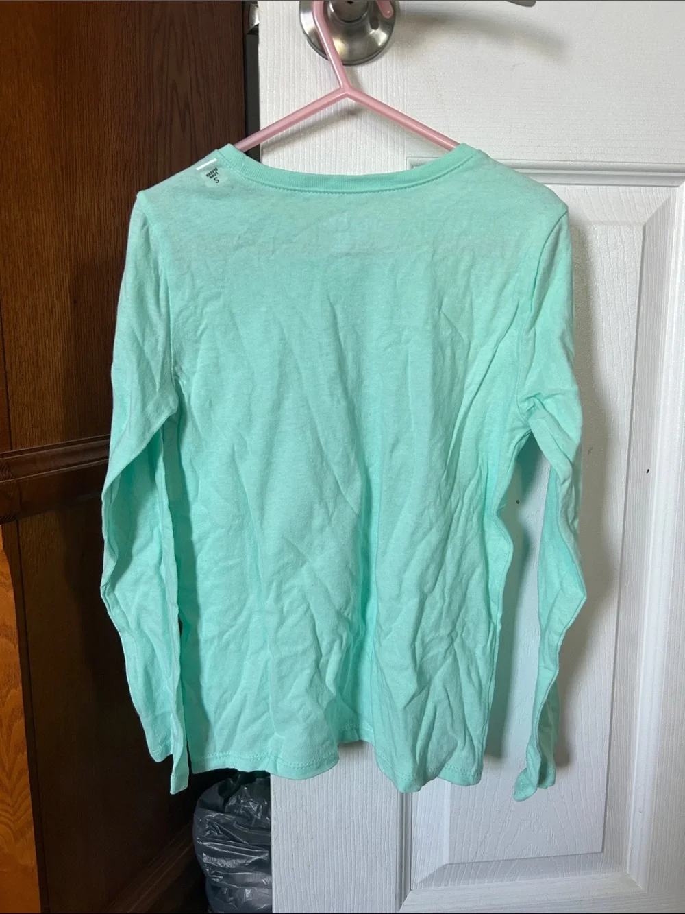 The Children's Place Mint Green Long Sleeve Tee with Pink & Blue Snowflake Motif